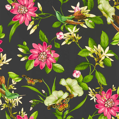 Dark Lotus Flower Wallpaper