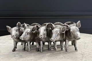 Christmas Gifts for Plant Lovers