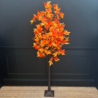 Autumn Tree