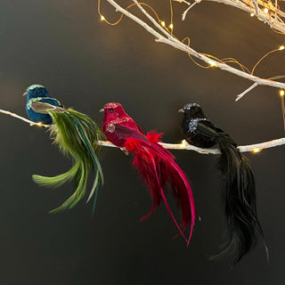 Bird Decorations (Set of 3)