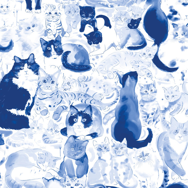 Blue Cats Wallpaper