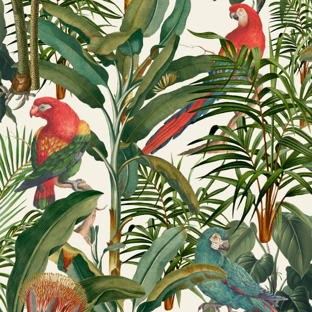 Bright Parrot Wallpaper