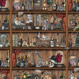 Brown Shelves Wallpaper - Limited Abode