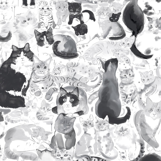 Cats Wallpaper