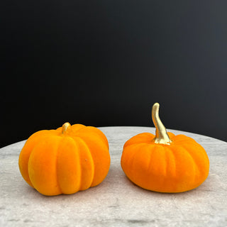 Ceramic Pumpkins (Set of 2)