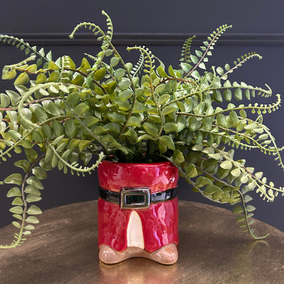 Christmas Plant Pot