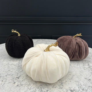 Medium Black Pumpkin