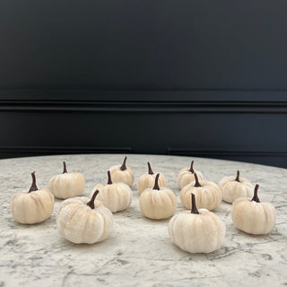 Cream Pumpkins (Set of 12)