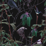 Dark Birds Wallpaper