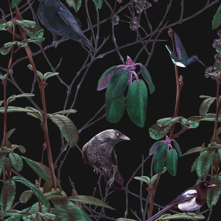Dark Birds Wallpaper - Limited Abode