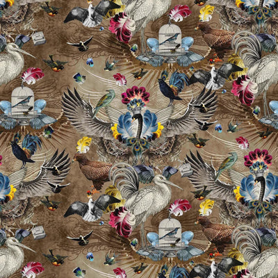Exotic Birds Wallpaper