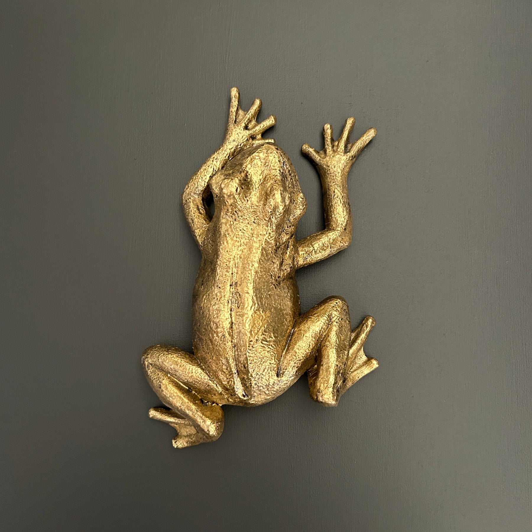 Frog Wall Decoration - Limited Abode