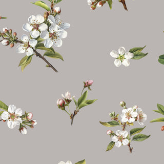 Grey Blossom Wallpaper