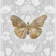 Grey Butterfly Wallpaper