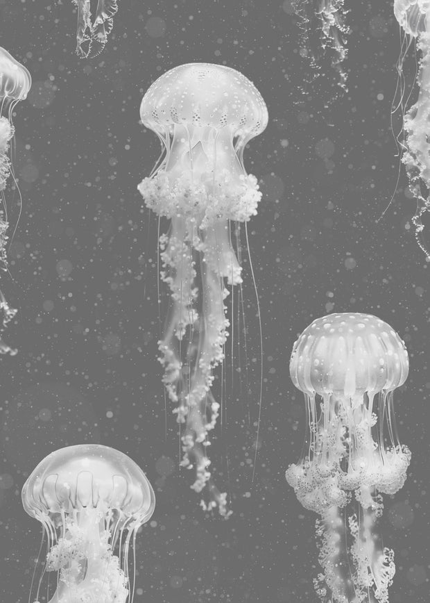 Grey Jellyfish Wallpaper
