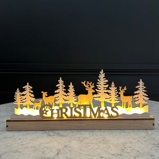 Light Up Christmas Sign