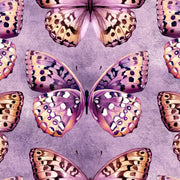 Lilac Butterfly Wallpaper
