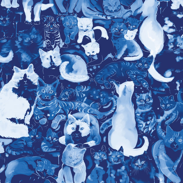 Navy Cats Wallpaper