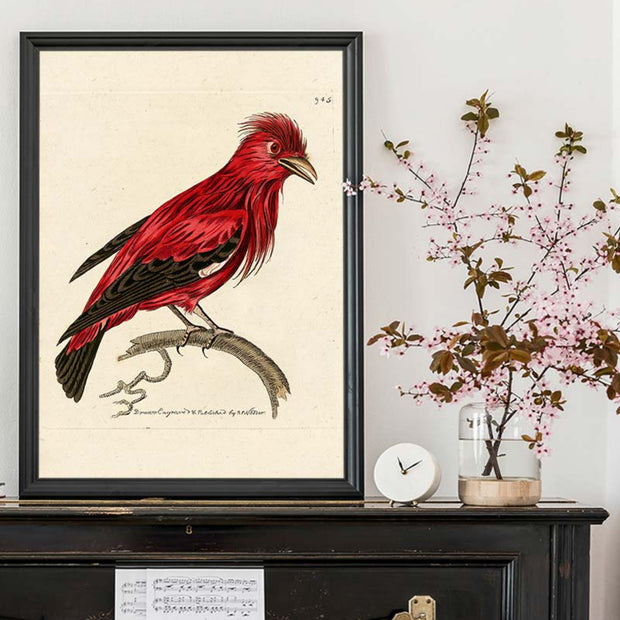 Red Bird Art