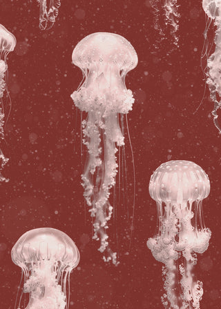 Red Jellyfish Wallpaper - Limited Abode