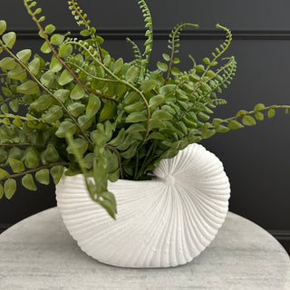 Large Shell Planter