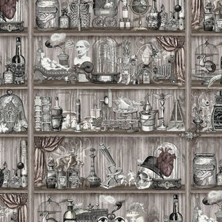 Shelves Wallpaper - Limited Abode