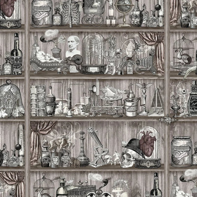 Shelves Wallpaper