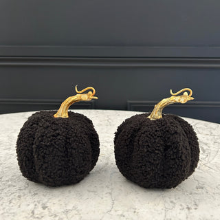 Small Black Pumpkins (Set of 2)