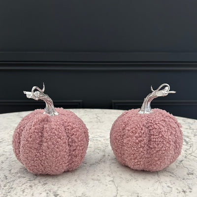 Small Pink Pumpkins (Set of 2)