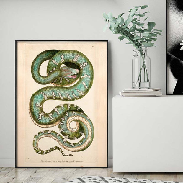 Snake Art
