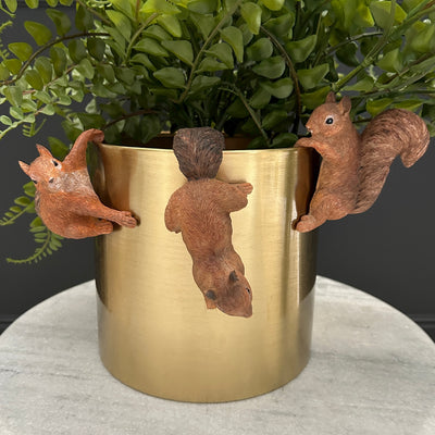 Squirrel Plant Pot Hangers (Set of 3)