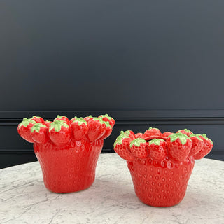 Strawberry Plant Pot