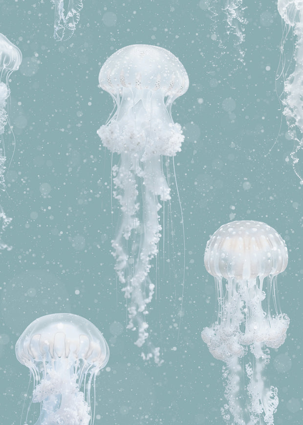 Teal Jellyfish Wallpaper