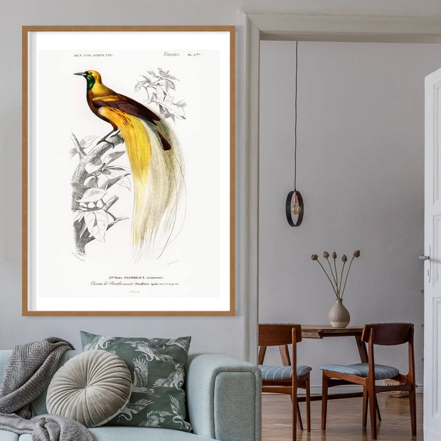 Tropical Bird Print