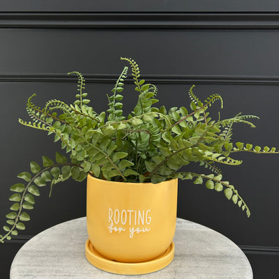 Yellow Plant Pot