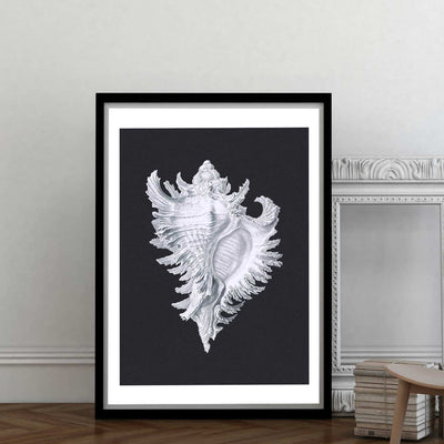 Black & white conch shell art print