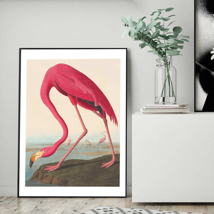 Pink flamingo art print