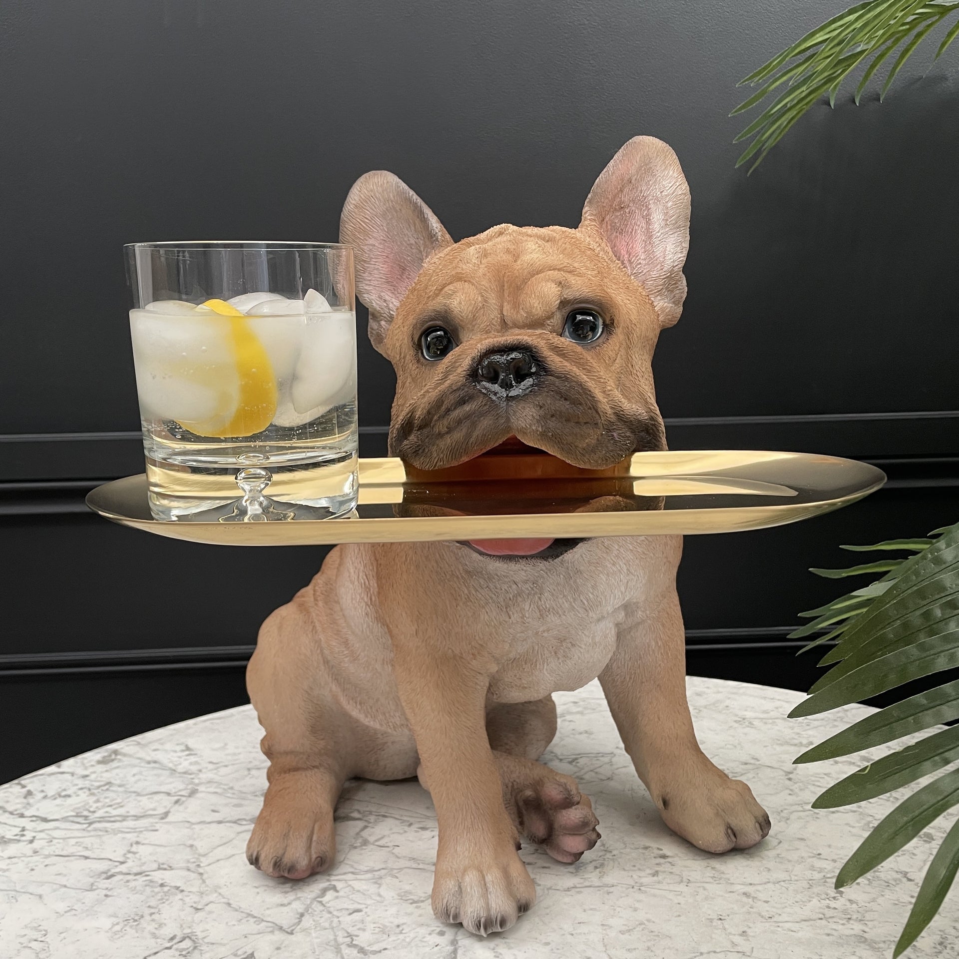 Flat-faced Dogs Best Dog Bowls For French Bulldogs Pamper Your