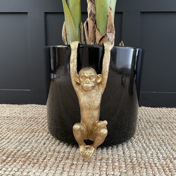 Gold monkey plant pot hanger with it's arms up