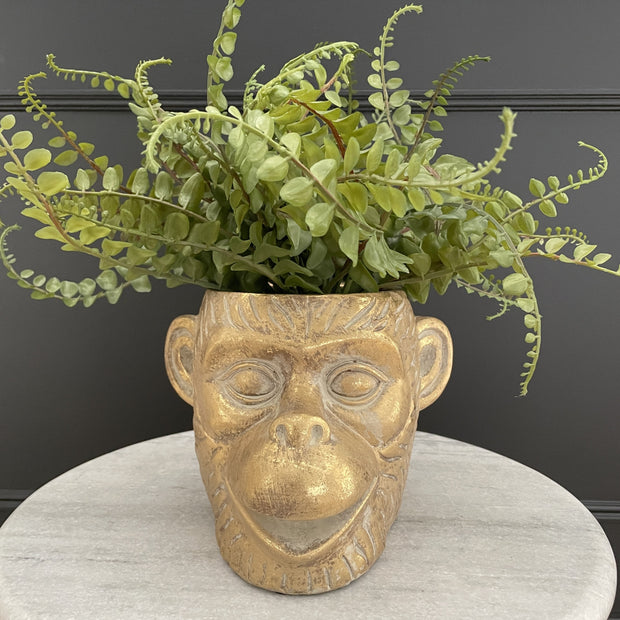 Gold Monkey Plant Pot