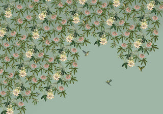 Hummingbird Wallpaper Mural