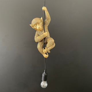 Hanging ceiling light with a gold monkey hanging from it