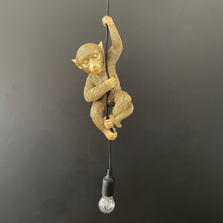 Hanging ceiling light with a gold monkey hanging from it