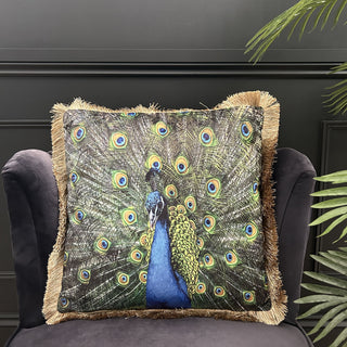 Peacock Cushion