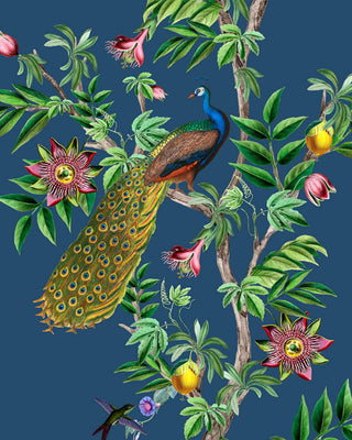 Peacock Wallpaper Mural