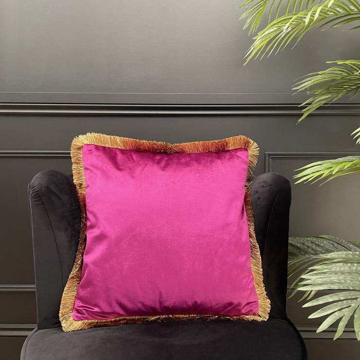 Purple Velvet Cushion