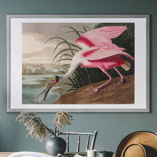 Spoonbill Art Print