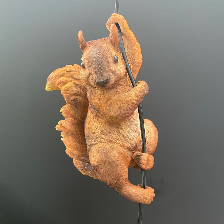 Squirrel pendant ceiling light hanging off the cable