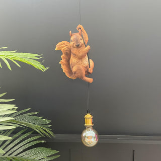 Squirrel pendant ceiling light hanging off the cable