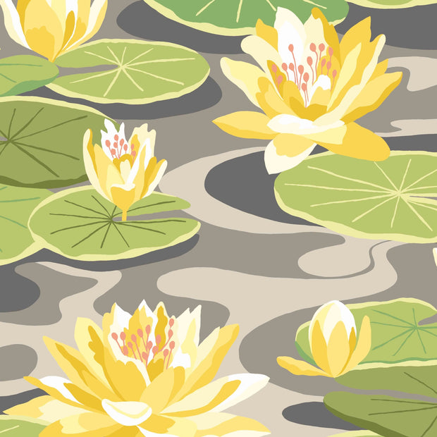Yellow Water Lily Wallpaper